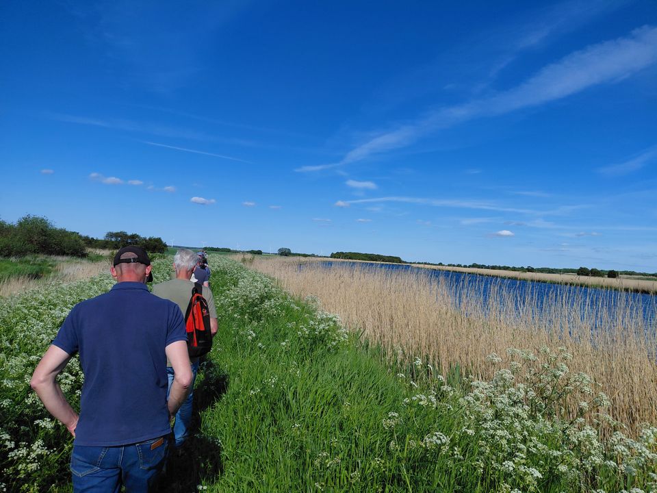 Foto: Randers Kommune